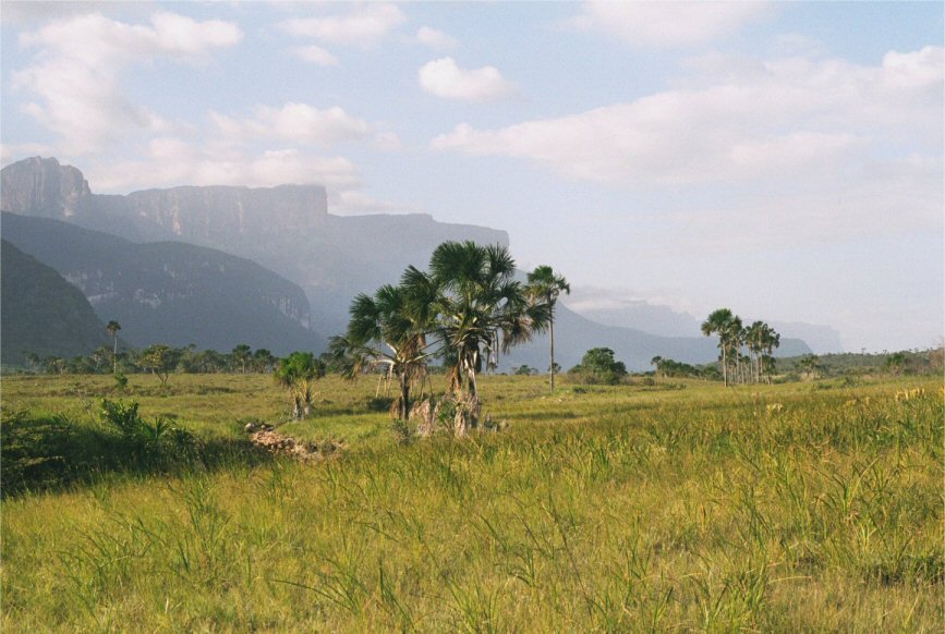 auf dem Tepui