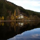 Auf dem Titisee