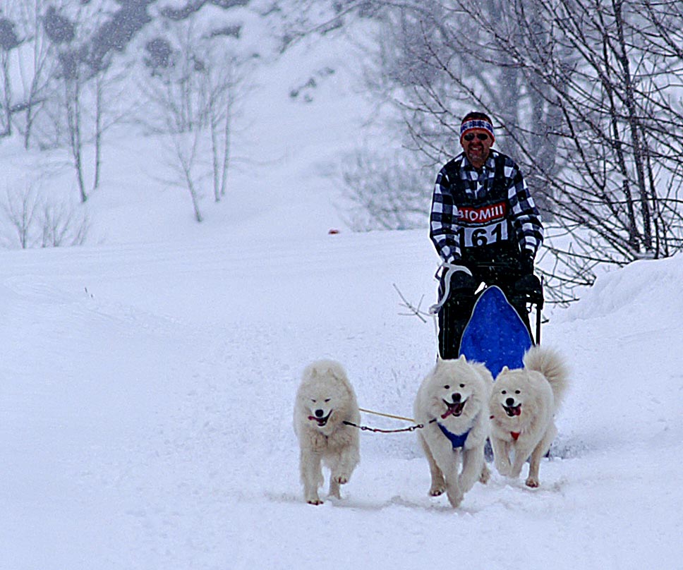 auf dem Trail 2