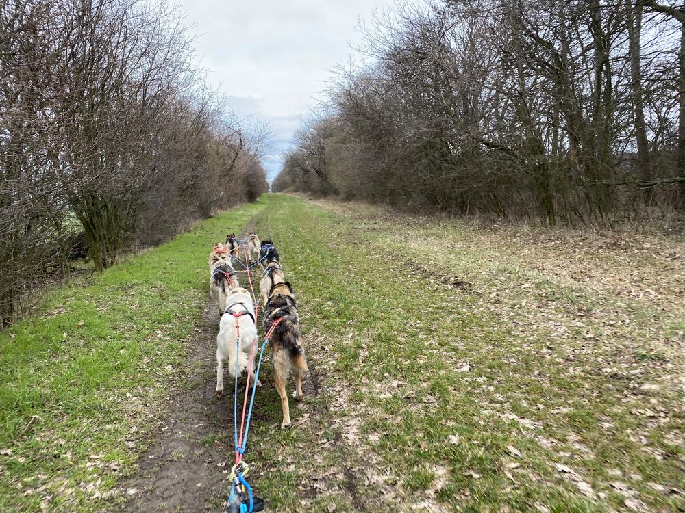 auf dem Trail