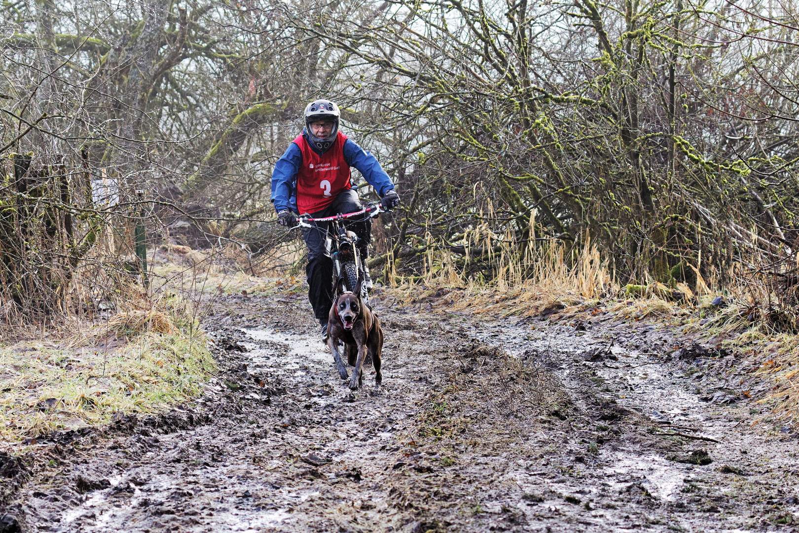 *auf dem Trail*