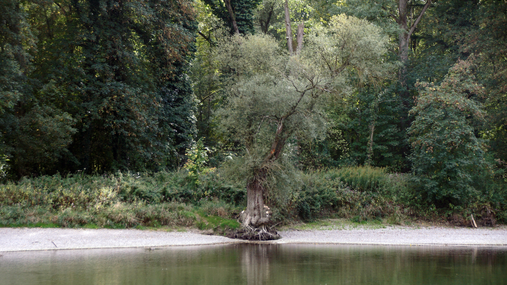 Auf dem Trockenen 1