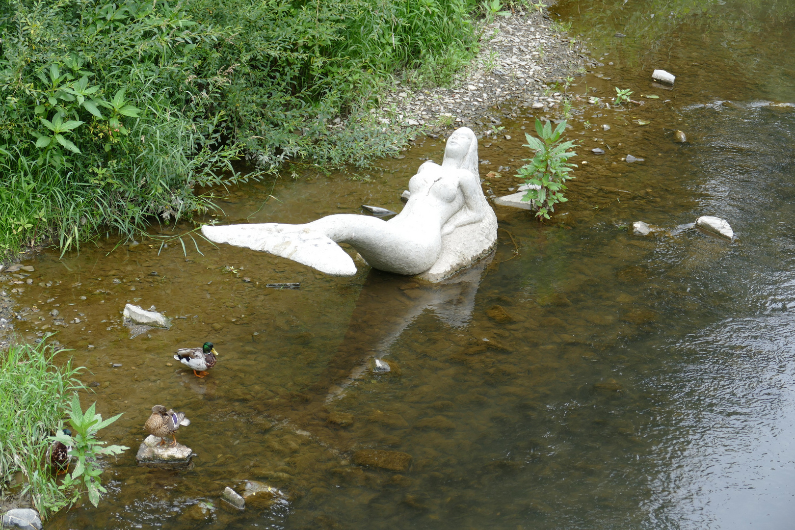 Auf dem Trockenen