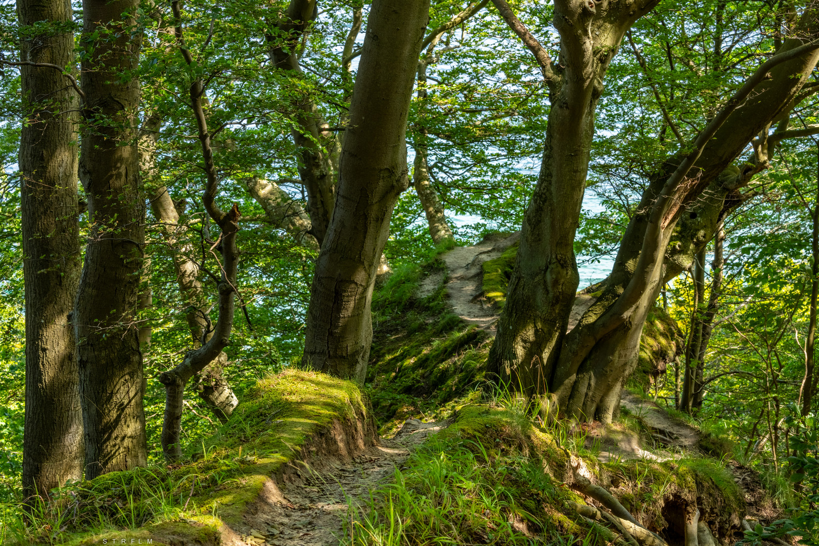 Auf dem Uferhöhenweg