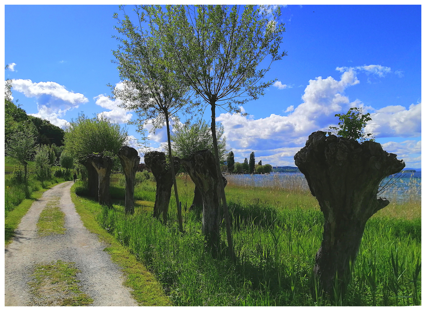 Auf dem Uferweg in Mannenbach