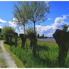 Auf dem Uferweg in Mannenbach