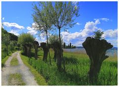 Auf dem Uferweg in Mannenbach