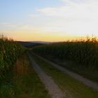 Auf dem unaufhaltsamen Weg in die Nacht