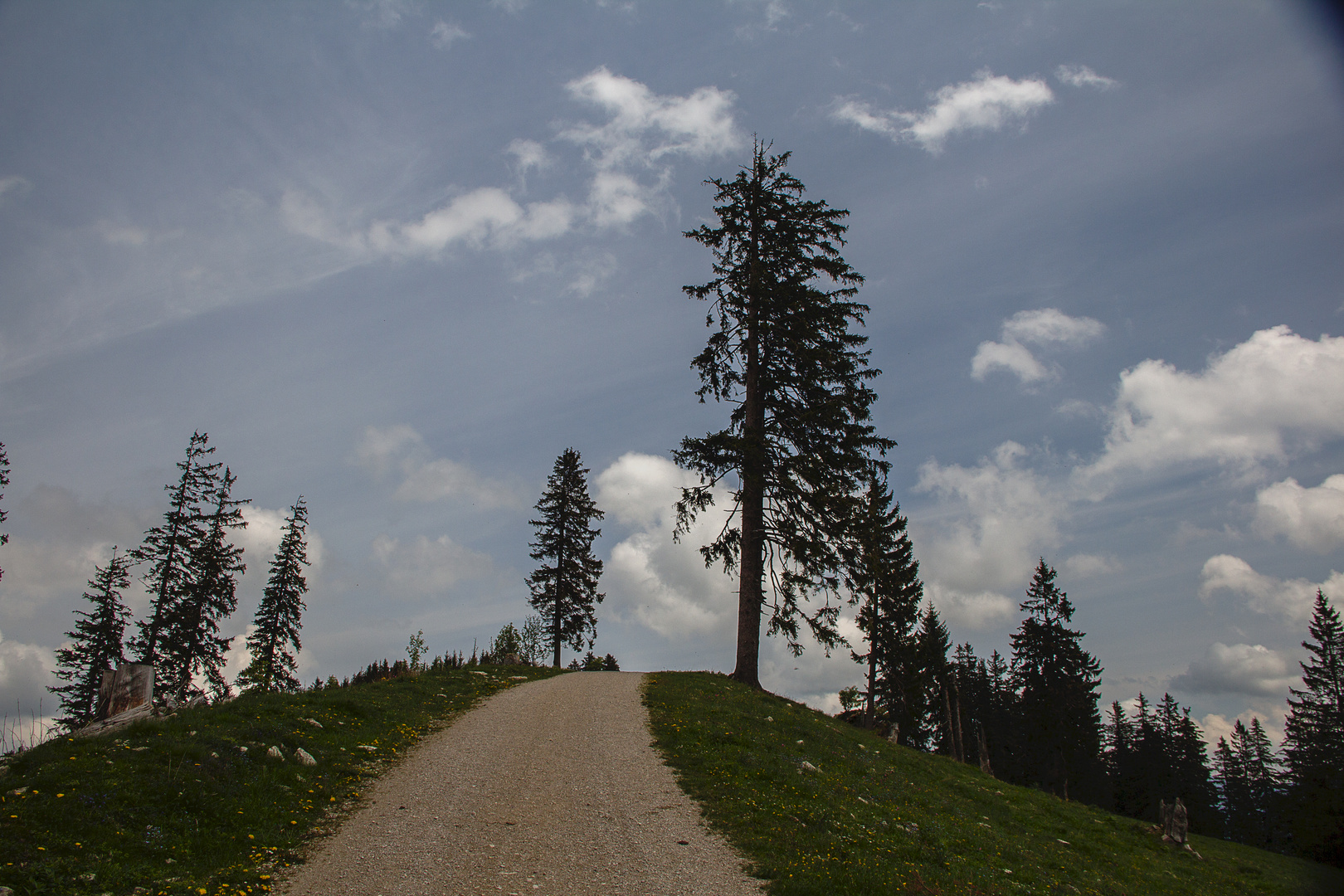 Auf dem Unterberg