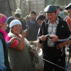 Auf dem Viehmarkt in Karakol (2)