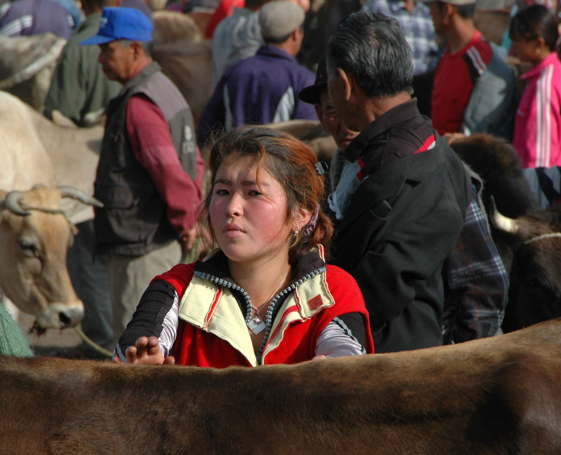 Auf dem Viehmarkt von Karakol/Kirgistan