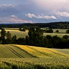 Auf dem Vörier Berg