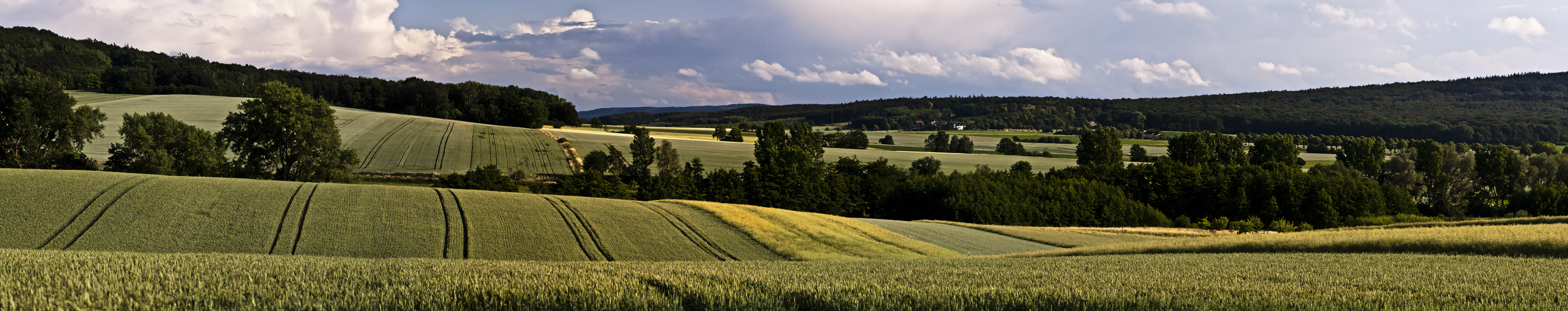 Auf dem Vörier Berg