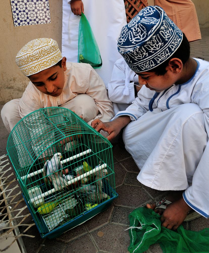 Auf dem Vogelmarkt in Nizwa