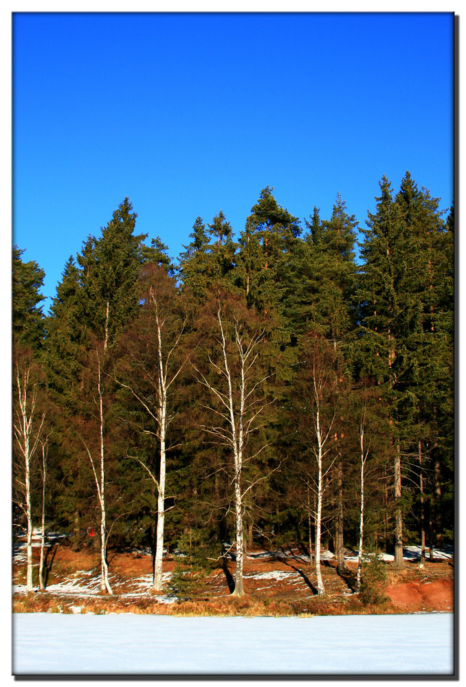 Auf dem Vogtlandsee II