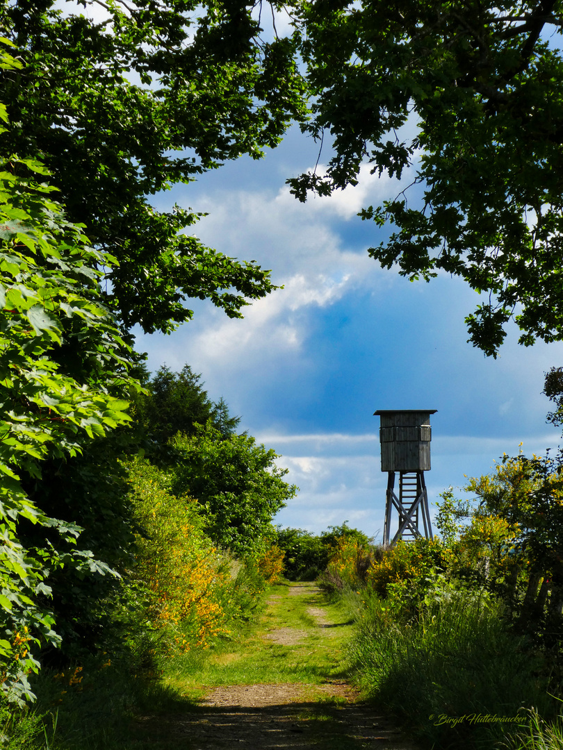 Auf dem Wanderweg