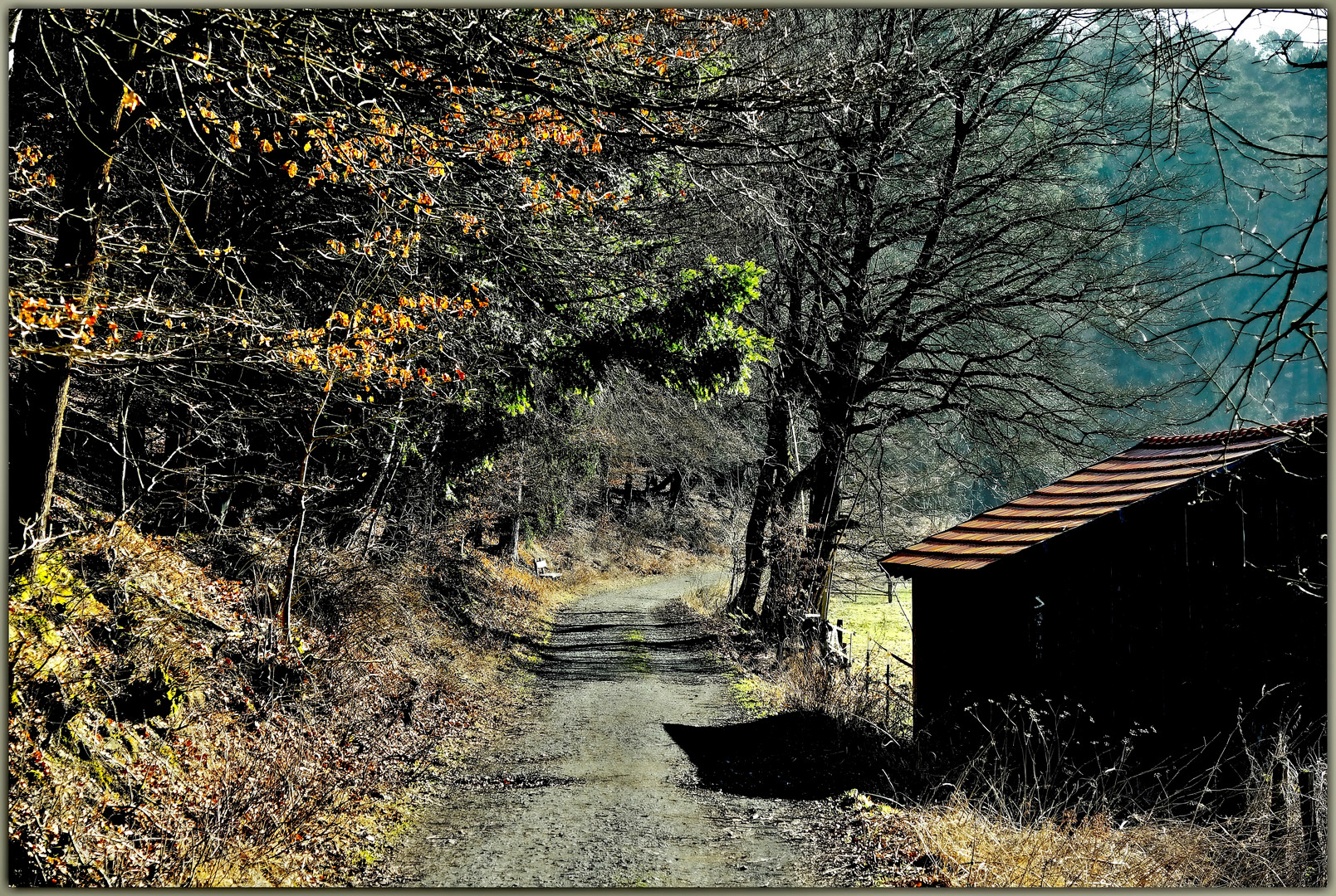 Auf dem Wanderweg A11 ...