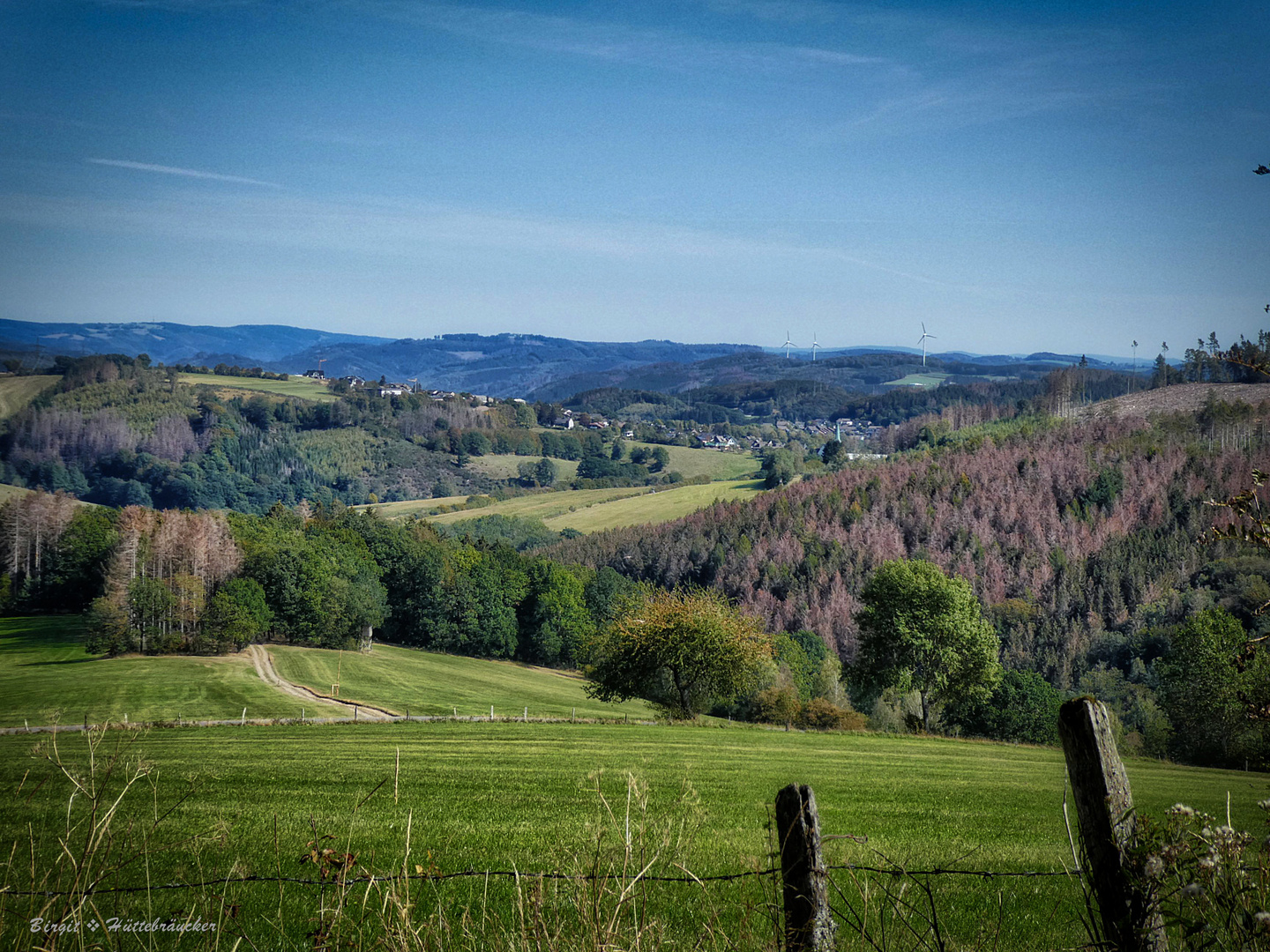 Auf dem Wanderweg 