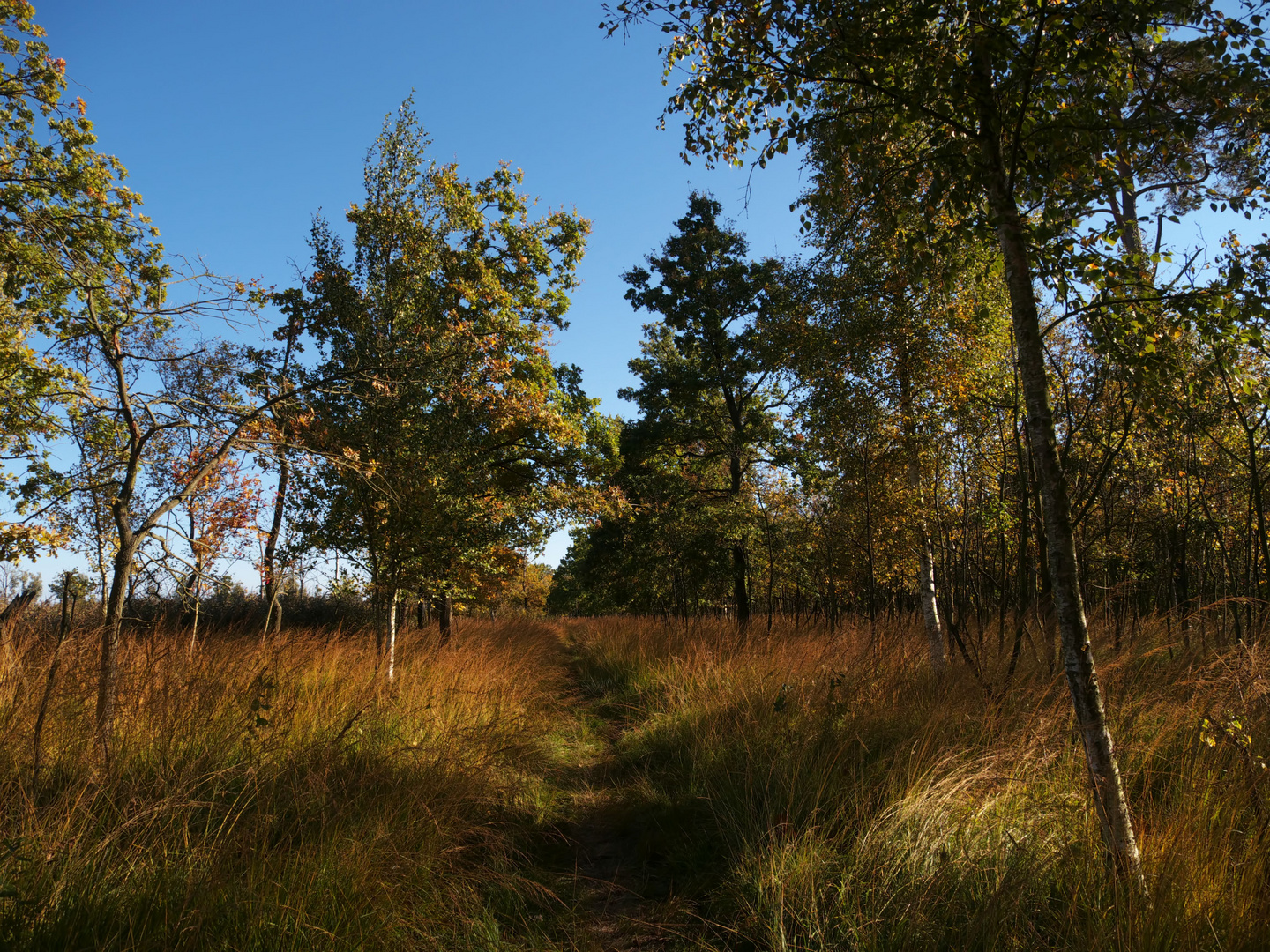 auf dem Wanderweg