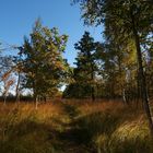 auf dem Wanderweg