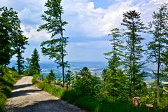 Auf dem Wanderweg am Hohen Bogen