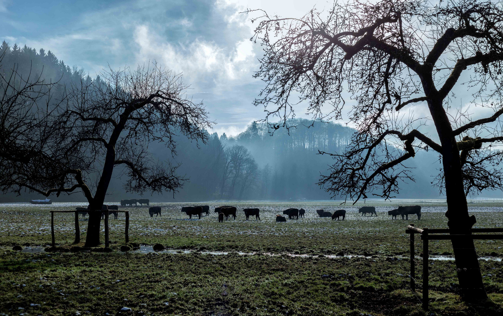 Auf dem Wanderweg rund um Schloß Ehreshoven