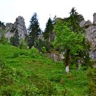 Auf dem Wanderweg vom Kolbensattel zum Pürschling