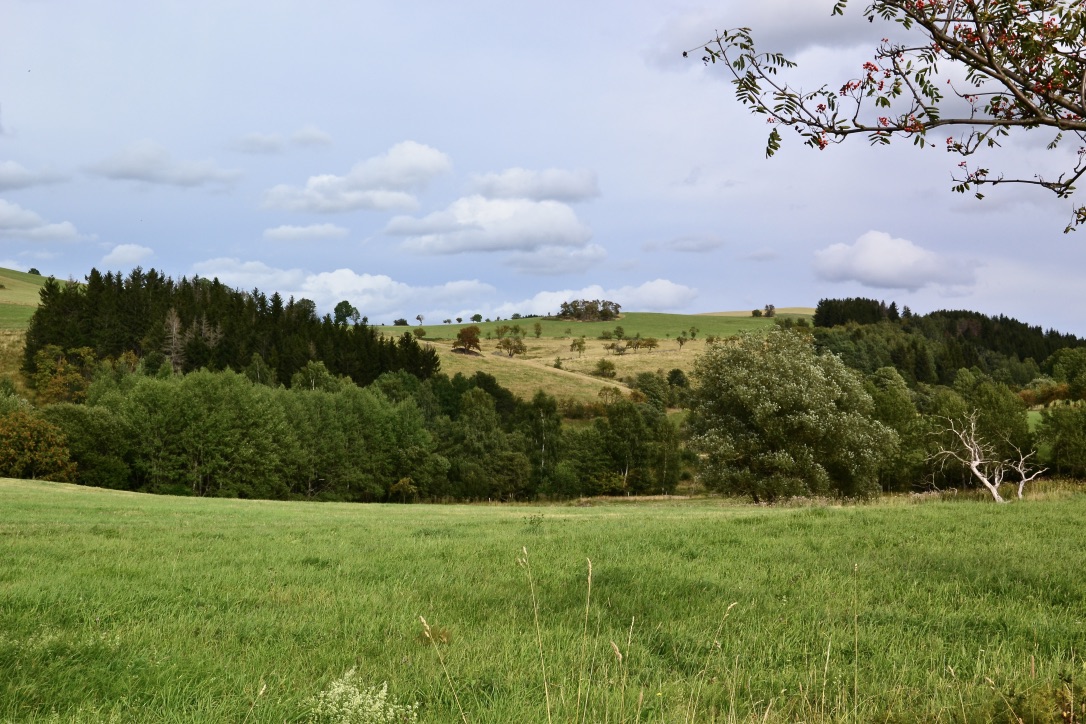 Auf dem Wanderweg zur Kohlhaukuppe