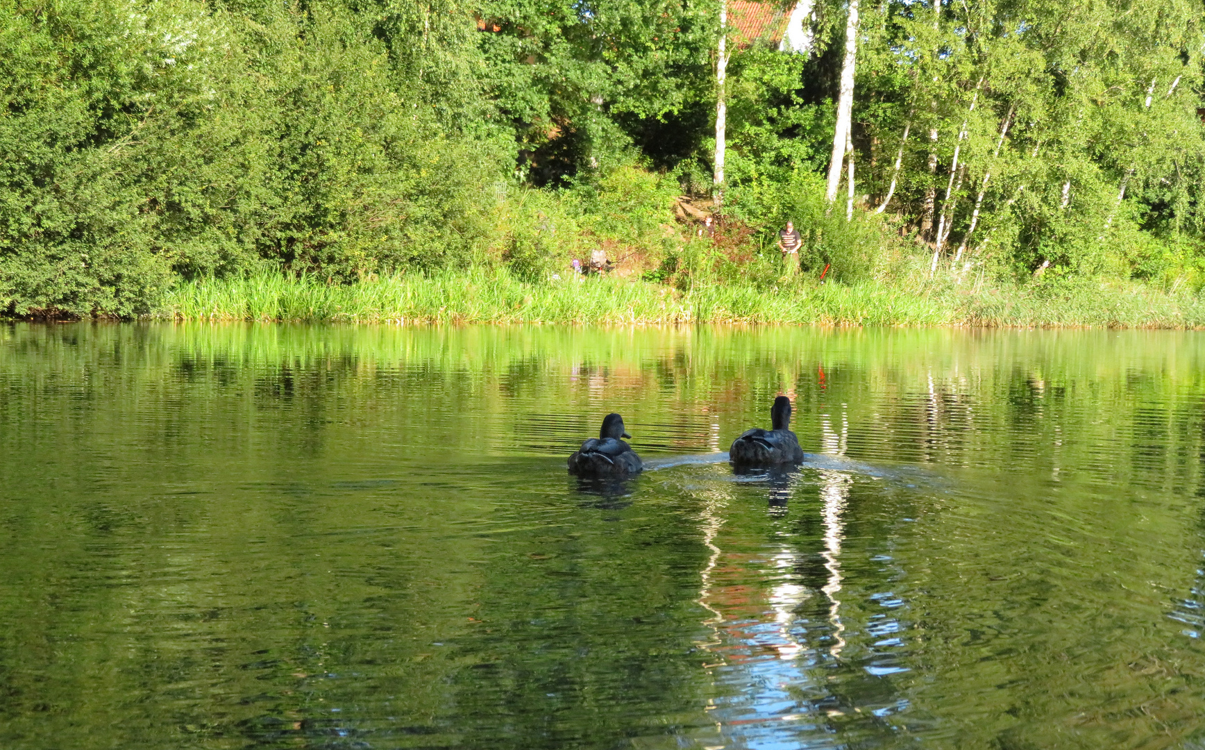 auf dem Wasser ...