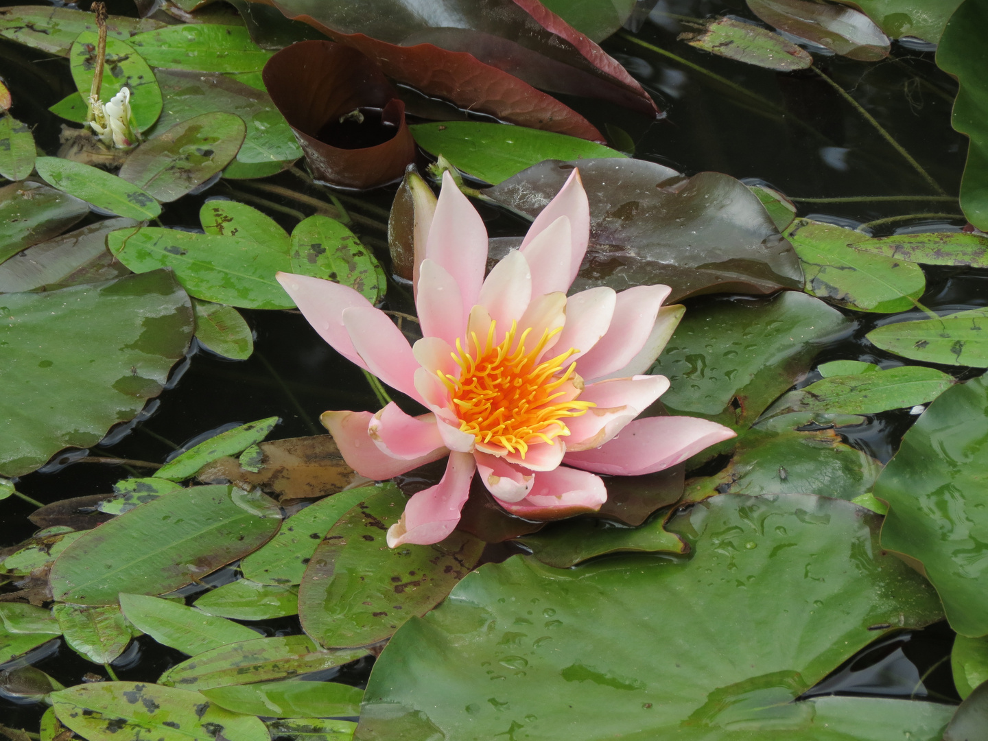 Auf dem Wasser