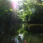 Auf dem Wasser, da ist es am schönsten...