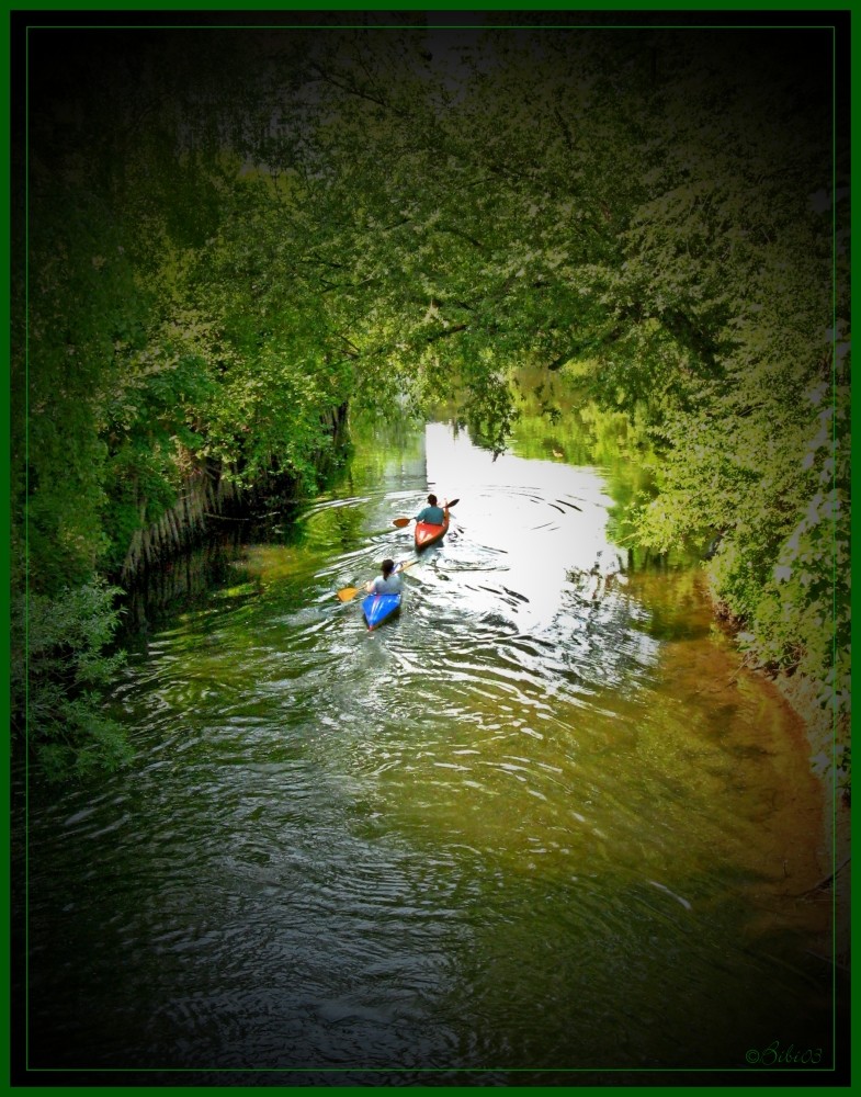 auf dem Wasser