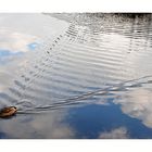 auf dem "Wasser-Spiegel" des Fichtelsees