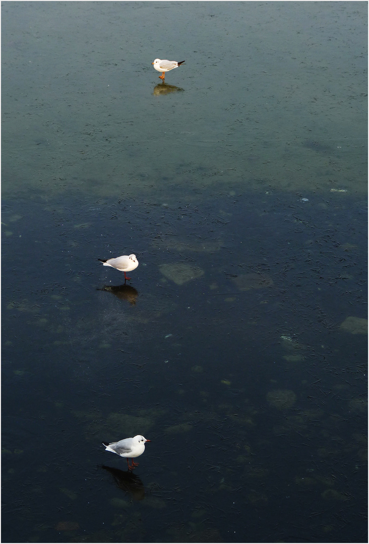 Auf dem Wasser stehen und gehen