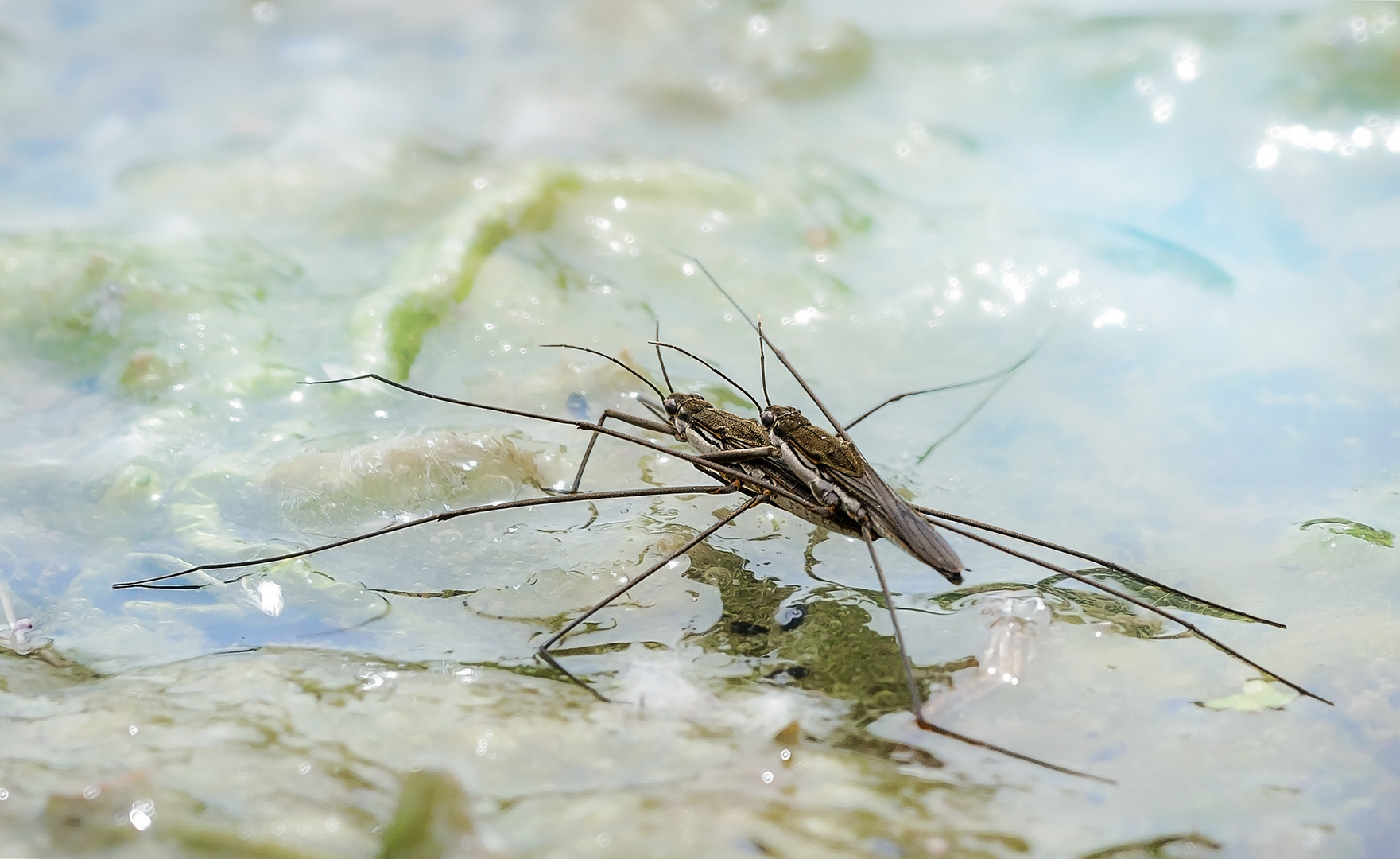 auf dem "Wasserbett"...