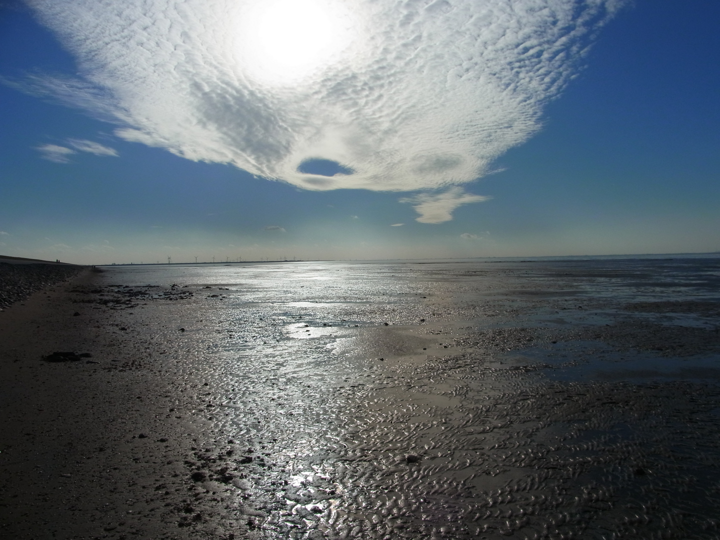 Auf dem Wattenmeer