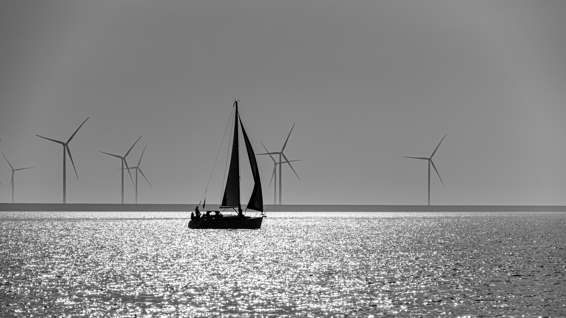 Auf dem Wattenmeer