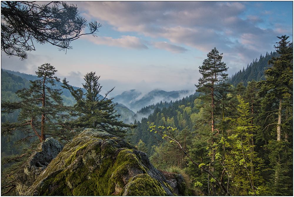 Auf dem Wattenstein Foto & Bild | baden-württemberg, natur ...