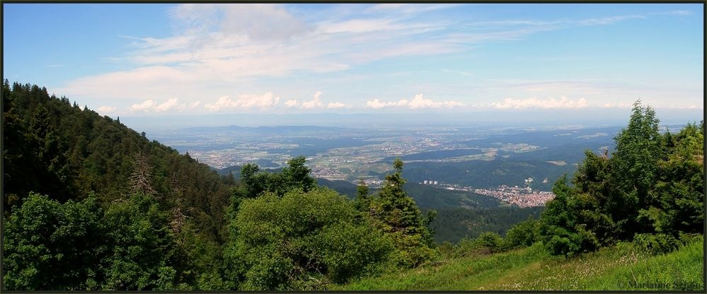 Auf dem Weg...