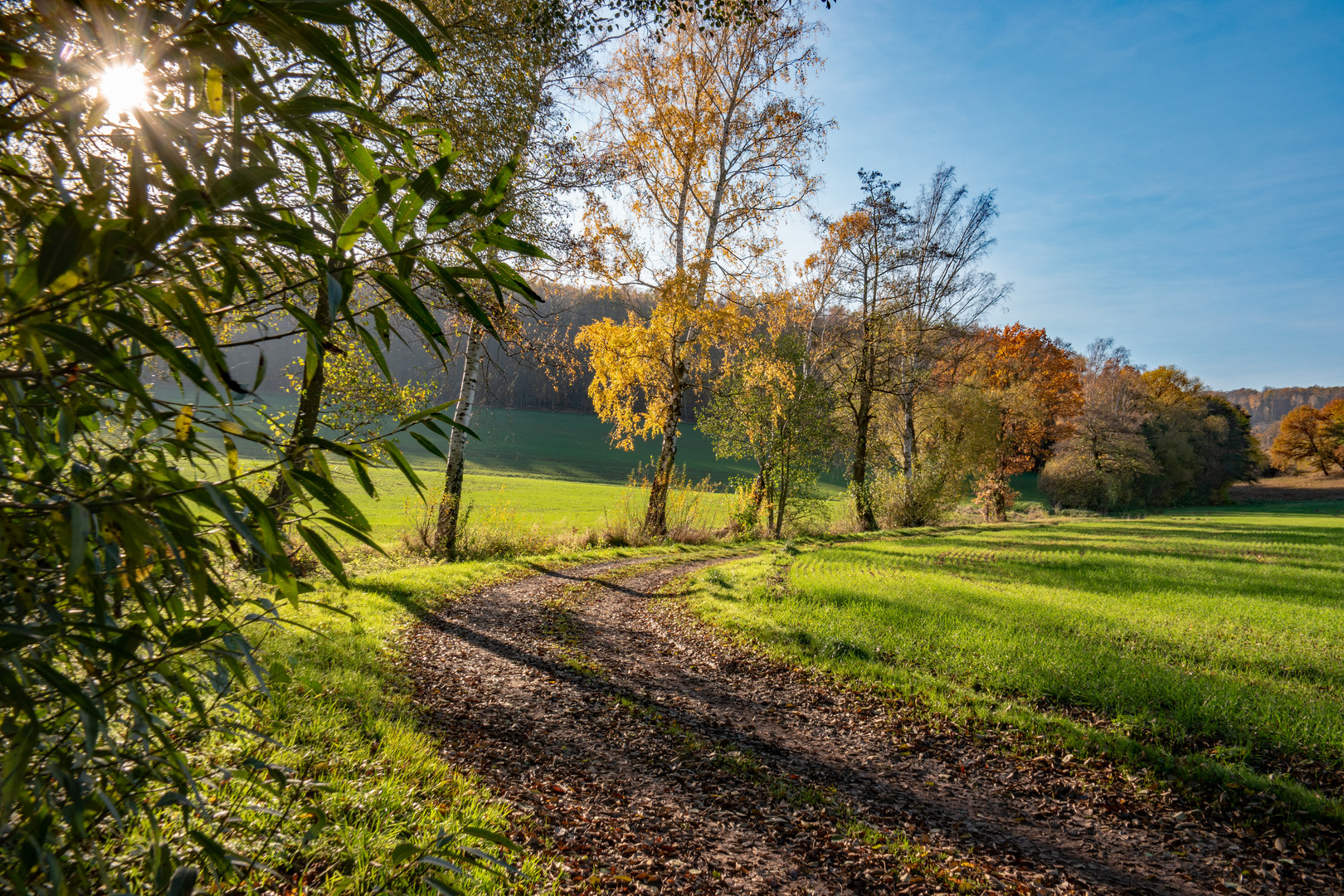 auf dem Weg