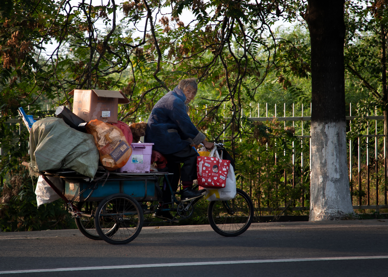 Auf dem Weg