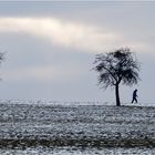 Auf dem Weg....