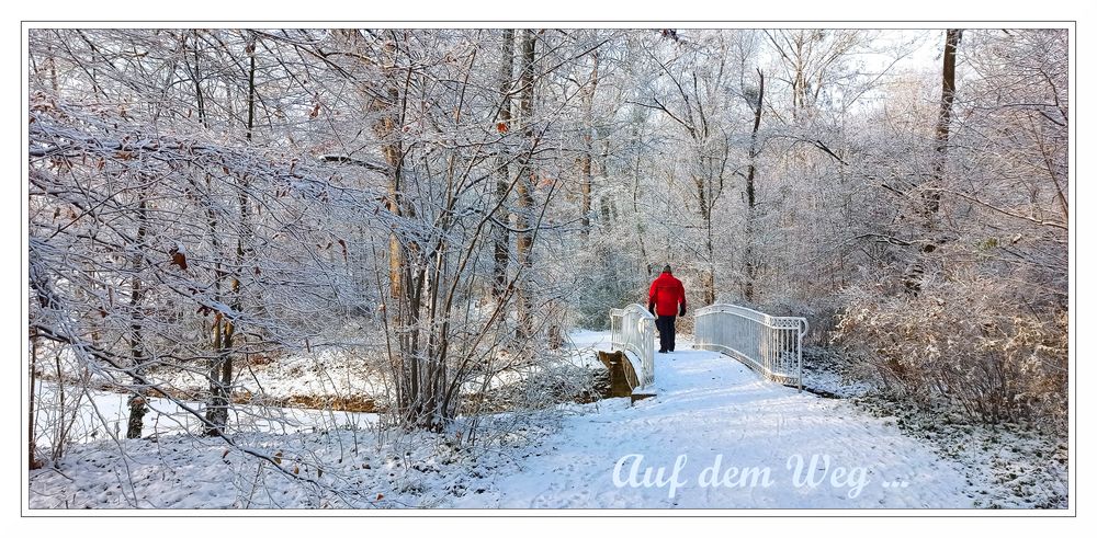 Auf dem Weg...