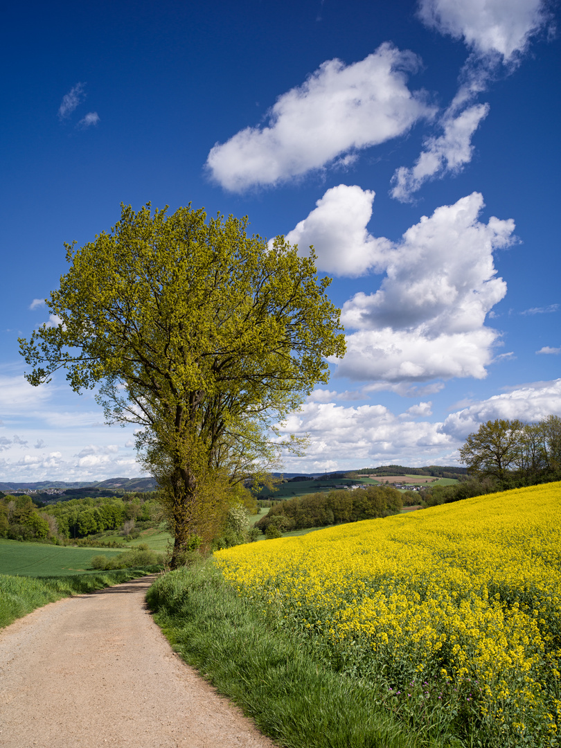 Auf dem Weg