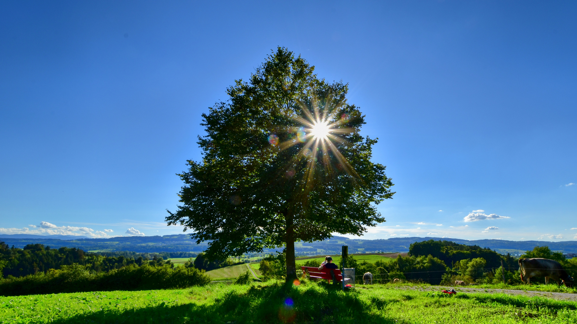 Auf dem Weg