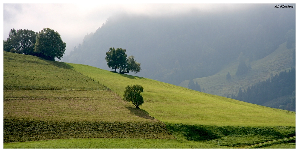 Auf dem Weg...