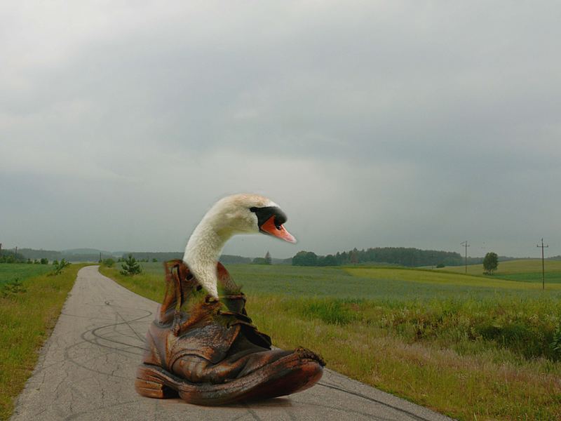 Auf dem Weg