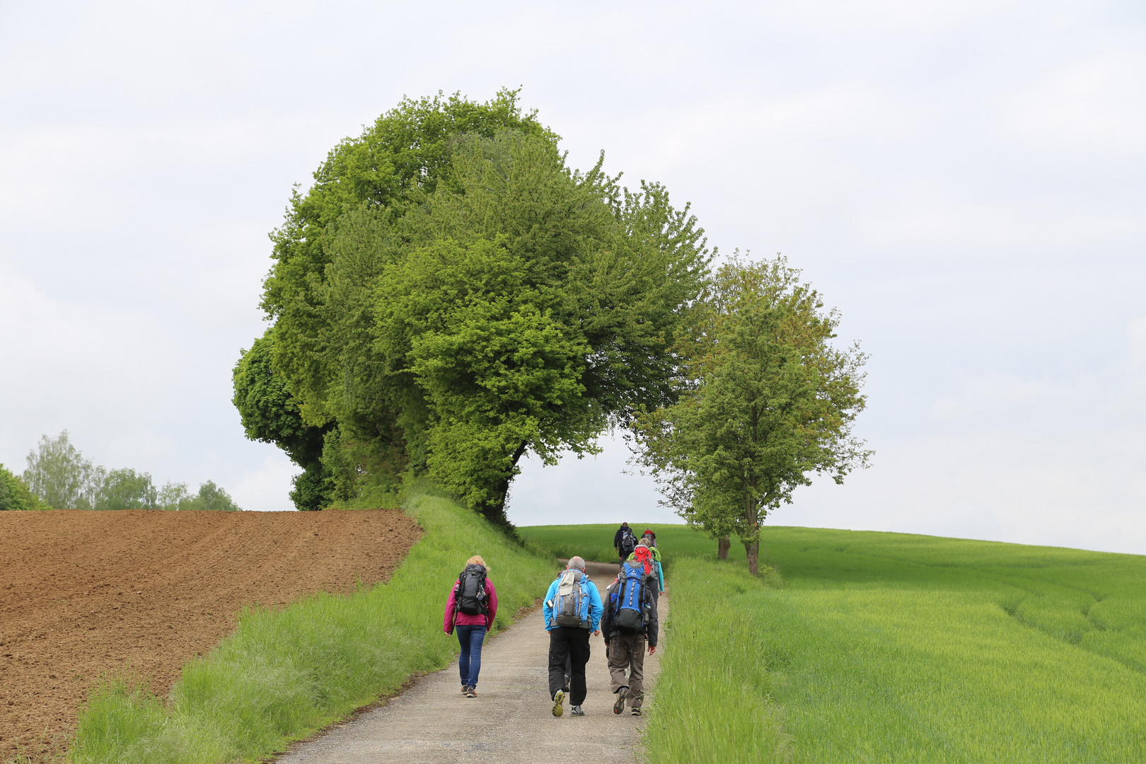 Auf dem Weg