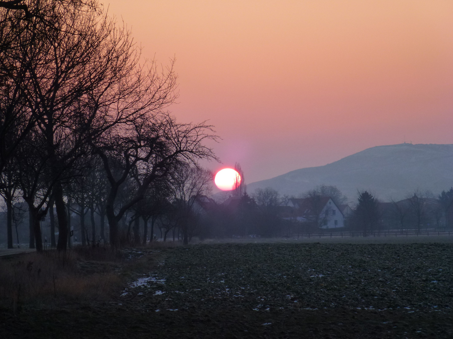 Auf dem Weg