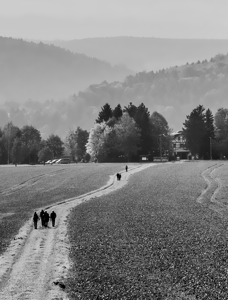 Auf dem Weg